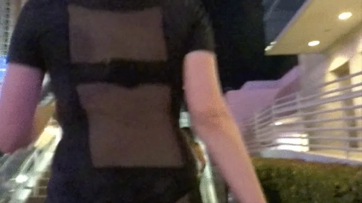 Slut in a See Through Dress