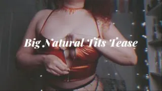 Big Natural Tits Fishnet Tease