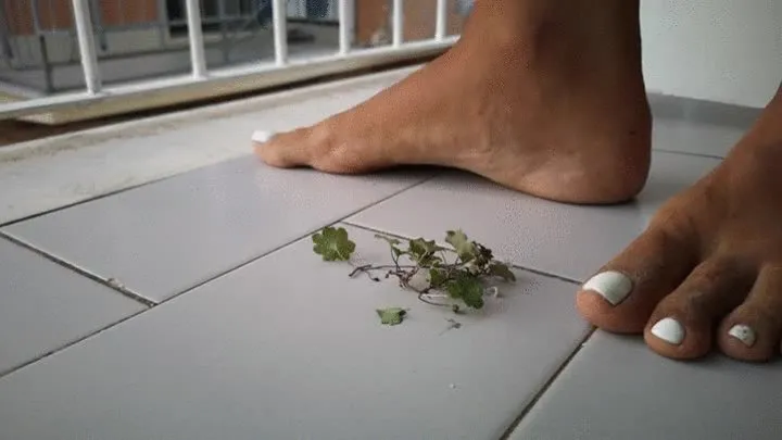 Italian girlfriend - Plants and flowers crush fetish in wooden clogs