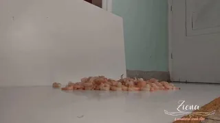 Shrimp paste in white high heel food crush fetish