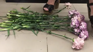 Flowers smash in platform clogs crush fetish cam 2