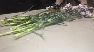 Flowers smash in platform clogs crush fetish cam 1