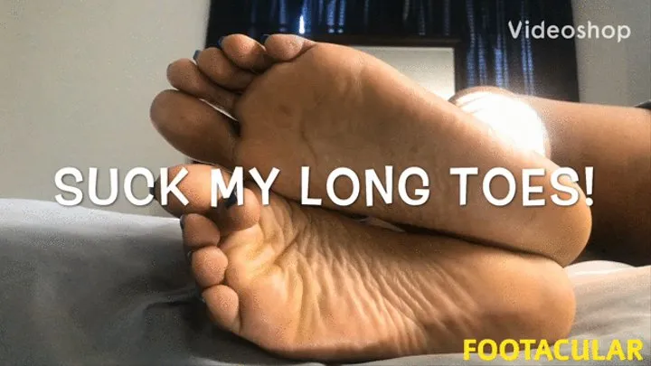 Suck My Long Toes