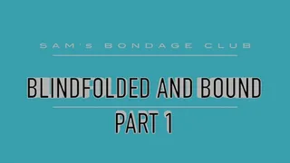 Blindfolded and Bound part 1