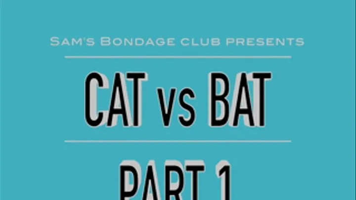 Cat VS Bat Part 1
