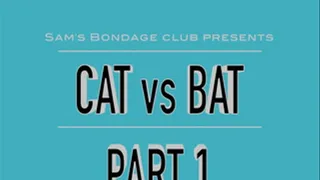 Cat VS Bat Part 1