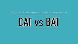 Cat Vs Bat Full