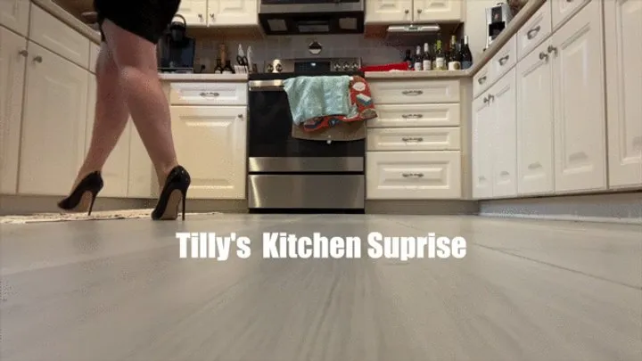 Tilly McReese In: Tilly's Kitchen Surprise Standard Res