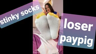 Stinky Socks PayPig LOSER