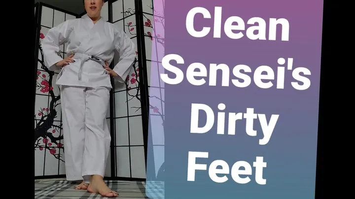 Karate Dirty Feet Cleaner