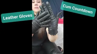 Leather Gloves Cum Countdown