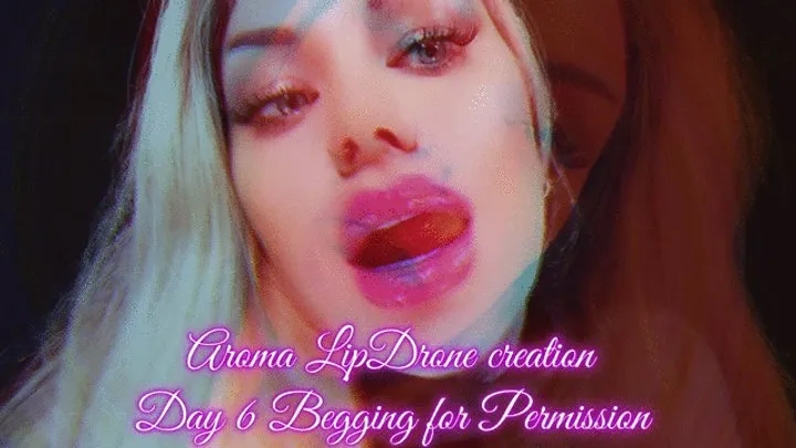 Aroma LipDrone creation - Day 6 Begging for Permission