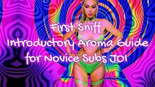 First Sniff - Introductory Aroma Guide for Novice Subs JOI