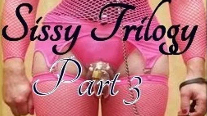 Sissy Trilogy Part 3 Audio Only