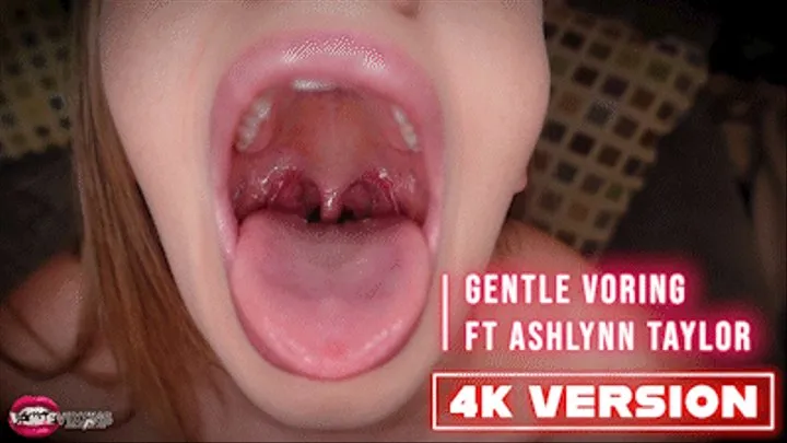 Gentle Voring Ft Ashlynn Taylor