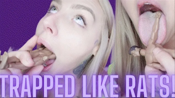 Trapped Like Rats! Ft Mandy