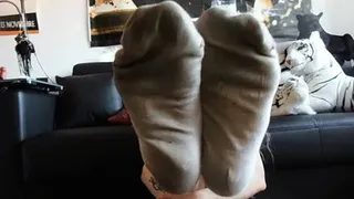 Mesmerized By My Socks - Socks Smelling POV (Italian Language)