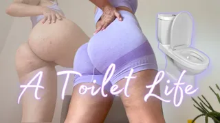 A Toilet Life