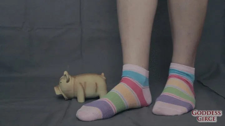 Crush a pig in sadic way, with colored socks