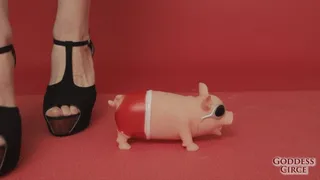 I squeeze in sadic way, a ridiculous pig, with high heels