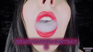 BE MY HUMAN ASHTRAY 2