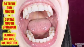 24 TEETH AND MOUTH + DENTAL MOUTH SPREADER - EXTREME DETAILS, NO LIPSTICK
