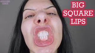 BIG SQUARE LIPS (Video request)
