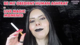 BE MY OBEDIENT HUMAN ASHTRAY - LIVE MAGIC MOMENTS