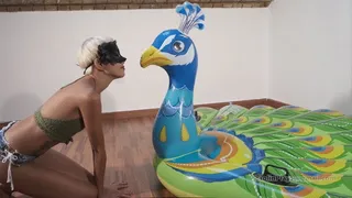 MAKING OUT with and RIDING on my Peacock!