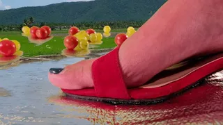 Compilation of Giantess Phaolin STOMPING on Tomatoes and Toy soldiers