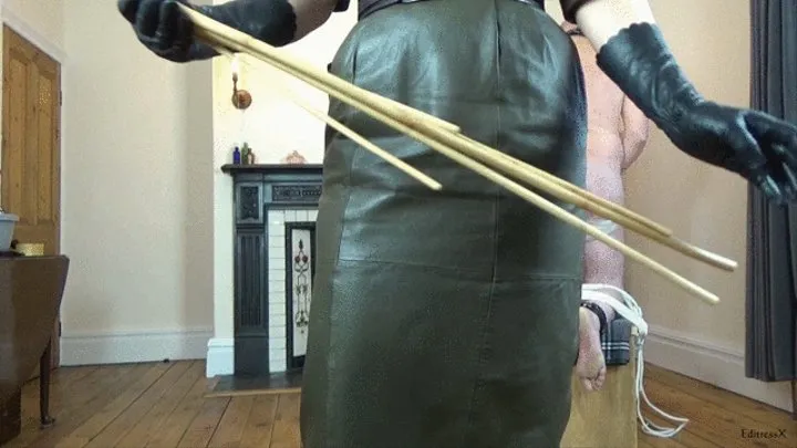 Testing a New Set of Canes on the Male Bottom