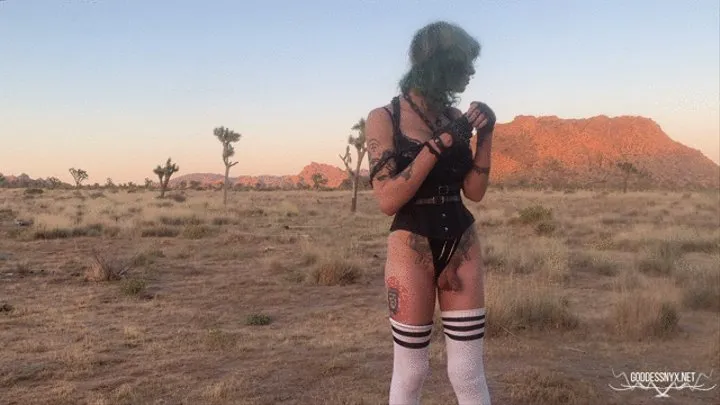 Public Desert Ass Fucking for Dollie Crimson