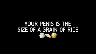 YOUR PENIS IS THE SIZE OF A GRAIN OF RICE!!!!!!