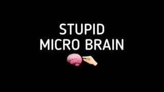 STUPID MICRO BRAIN!!!