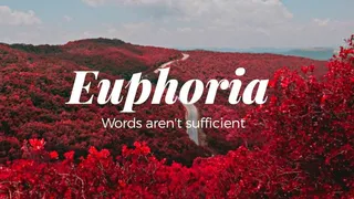 Euphoria Erotic Audio Trance