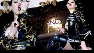 THE FEMINISATION OF ANDY