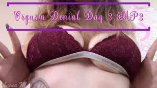 Orgasm Denial Day 3 MP3