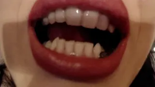 Sharp incisors like a guillotine (Custom)