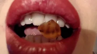 Bear biting with vampire canine teeth (Custom)