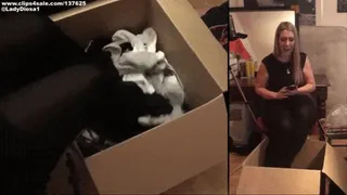 The Sock Box