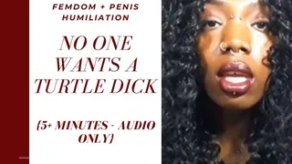 AUDIO: No One Wants a Turtle Dick - Humiliation