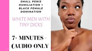 SPH - White Men with Tiny Dicks MP3