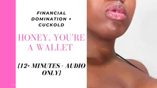 AUDIO ONLY: Honey, You're a Wallet - Findom - Cuckold
