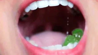 Gummy Vore