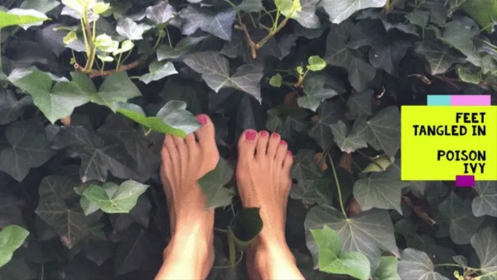 FEET tangled in POISON IVY