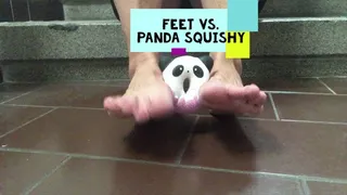 FEET versus Panda Squishy