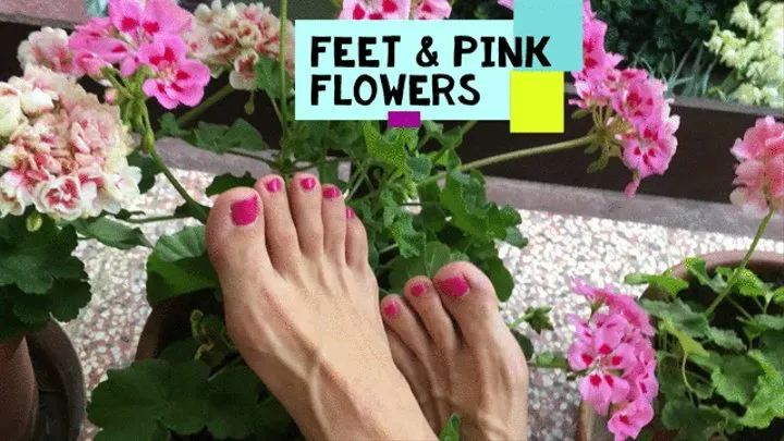 FEET caress pink flowers