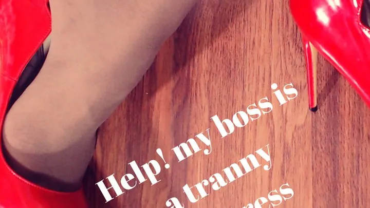 Help! my boss is a tranny Breeding black cock worship