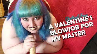 POV Valentine's Blowjob for Master