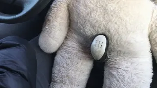 I crush my teddy bear with my car that I had when I was just born